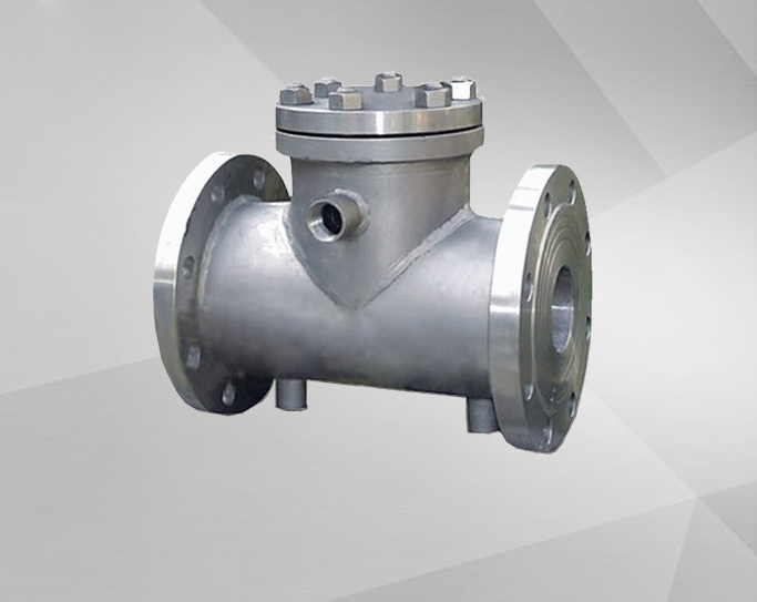 Insulation check valve