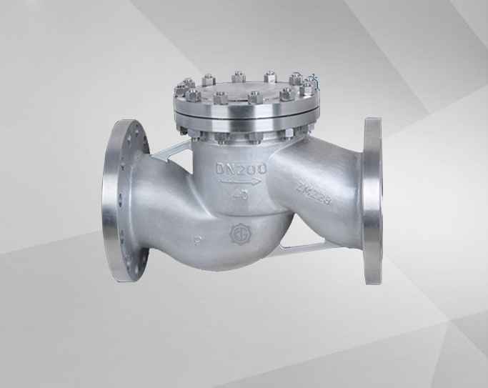 Lift Check Valve
