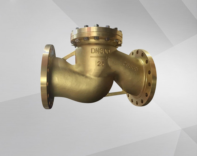Oxygen Check Valve
