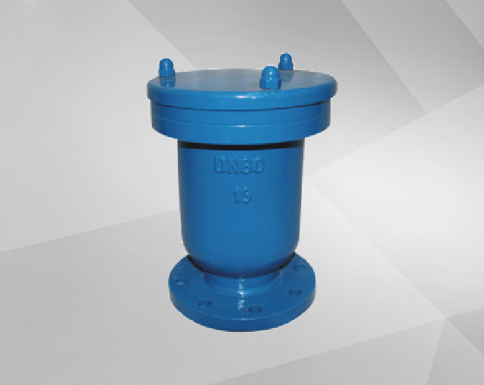 P41 Exhaust Valve