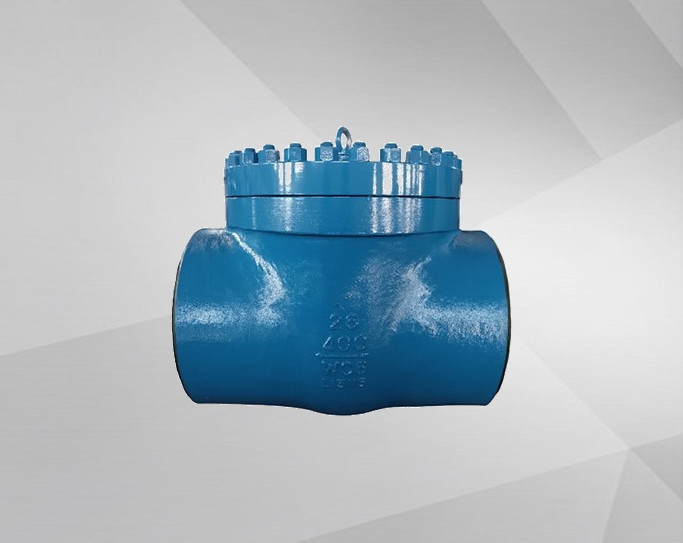 Water pressure test plug valve