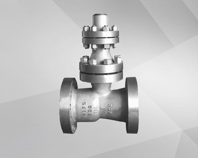 Empty check valve