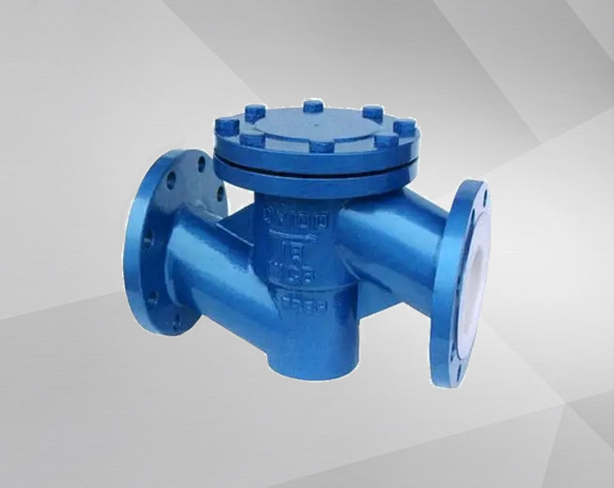Fluorine lined check valve