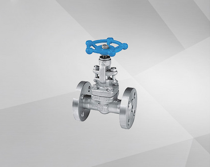 J42 Forged Steel Flange Stop Valve