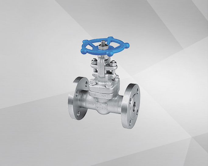 Z41Y-Forged Steel Gate Valve