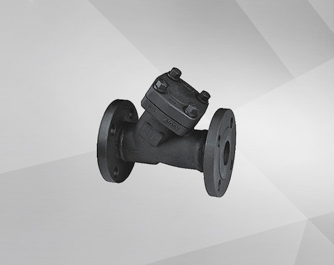 Forged steel flange filter