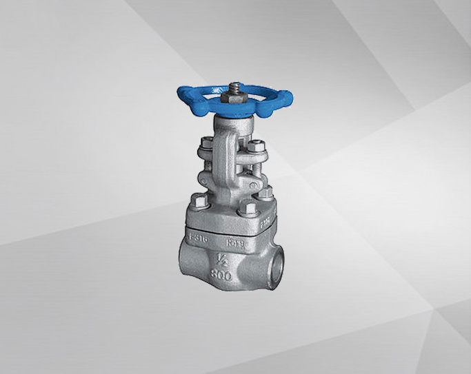 Forged steel welded gate valve