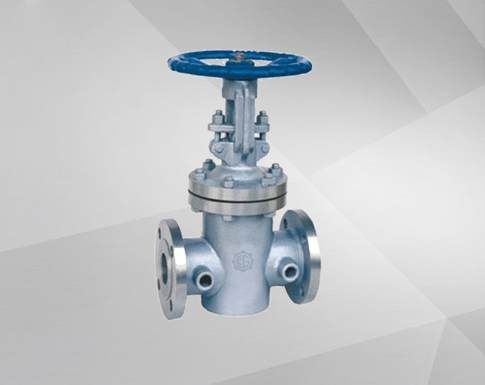  Insulation Jacketed Gate Valve