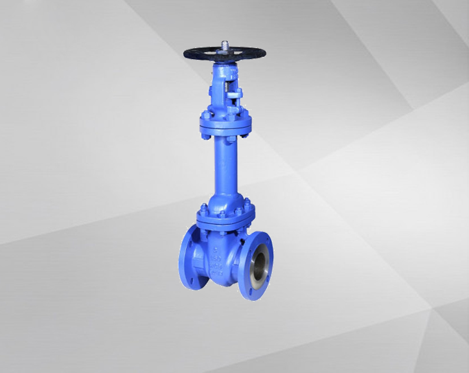 Bellows Gate Valve